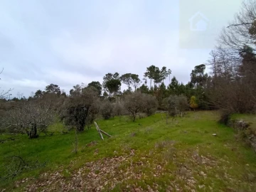 Moradia T2 para Venda em Mangualde, Mesquitela e Cunha Alta