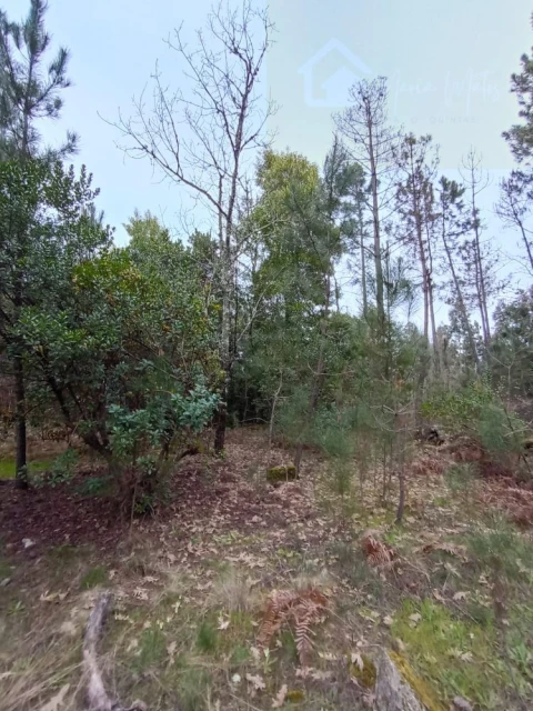Moradia T2 para Venda em Mangualde, Mesquitela e Cunha Alta