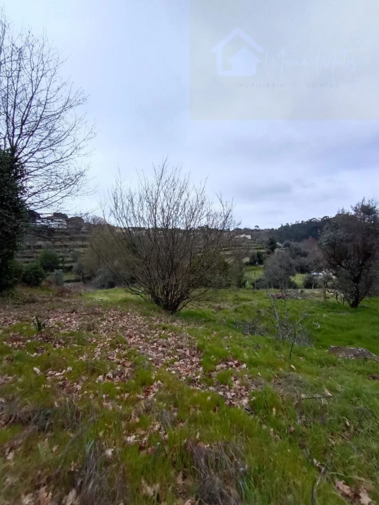 Moradia T2 para Venda em Mangualde, Mesquitela e Cunha Alta Foto 23