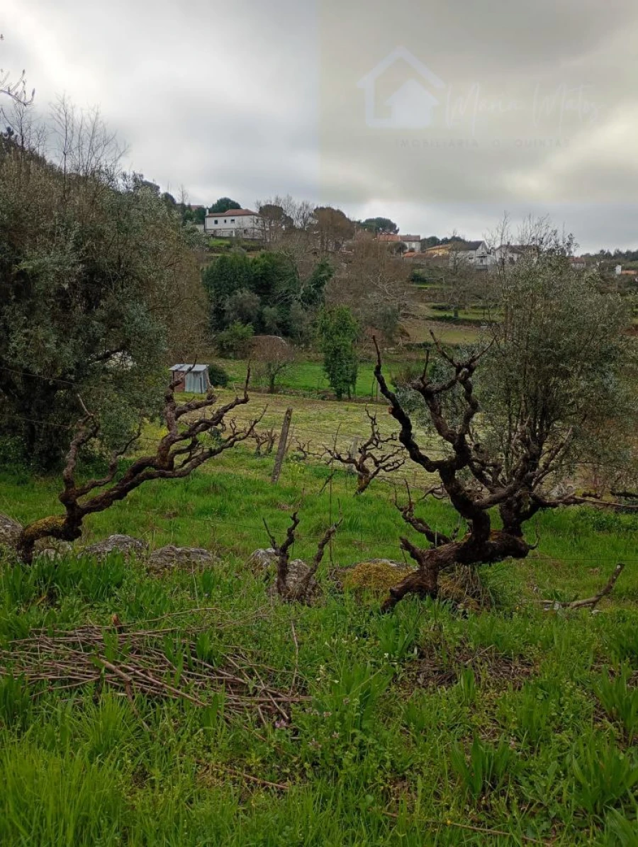 Moradia T2 para Venda em Mangualde, Mesquitela e Cunha Alta Foto 40