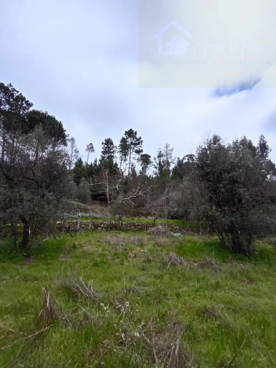 Moradia T2 para Venda em Mangualde, Mesquitela e Cunha Alta Foto 36