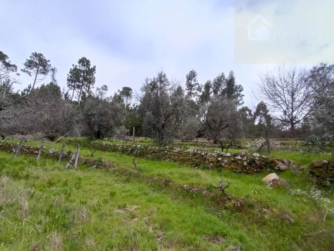 Moradia T2 para Venda em Mangualde, Mesquitela e Cunha Alta Foto 37