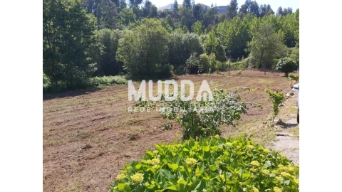 Terreno para Venda em Arrifana