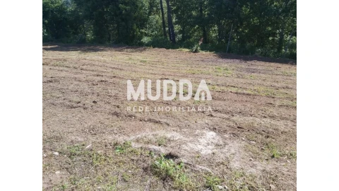 Terreno para Venda em Arrifana