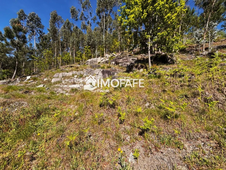 Terreno para Venda em Golães Foto 15