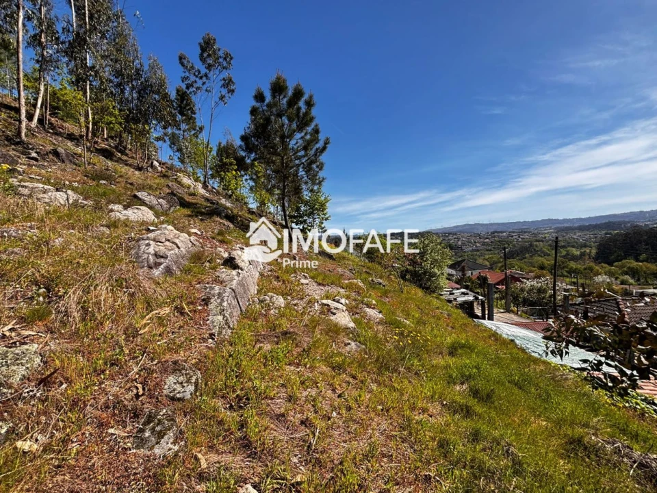 Terreno para Venda em Golães Foto 5