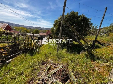 Terreno para Venda em Golães