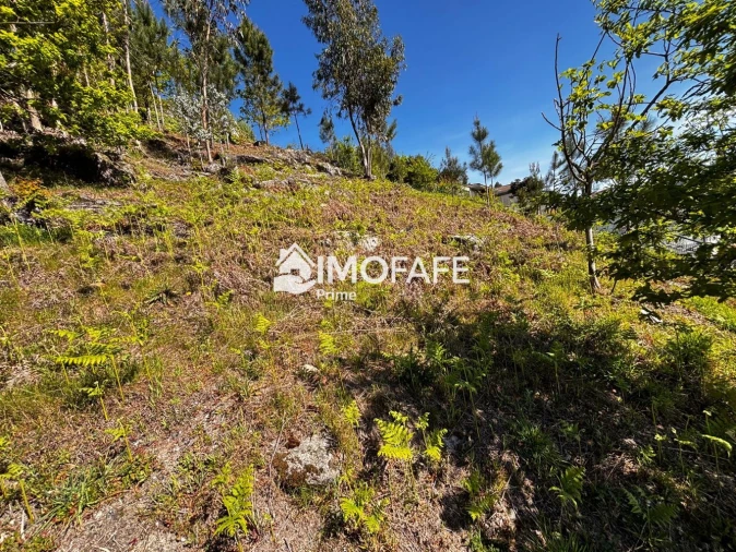 Terreno para Venda em Golães Foto 16