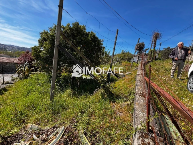 Terreno para Venda em Golães Foto 30