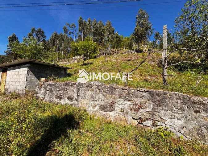 Terreno para Venda em Golães Foto 27