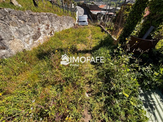 Terreno para Venda em Golães Foto 26