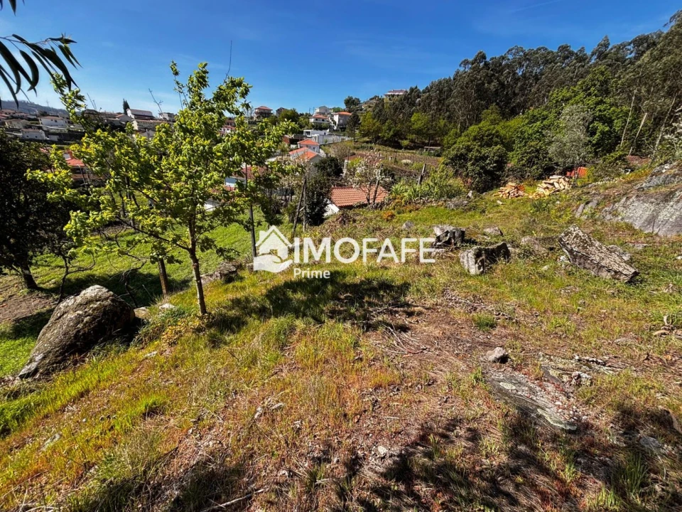 Terreno para Venda em Golães Foto 7