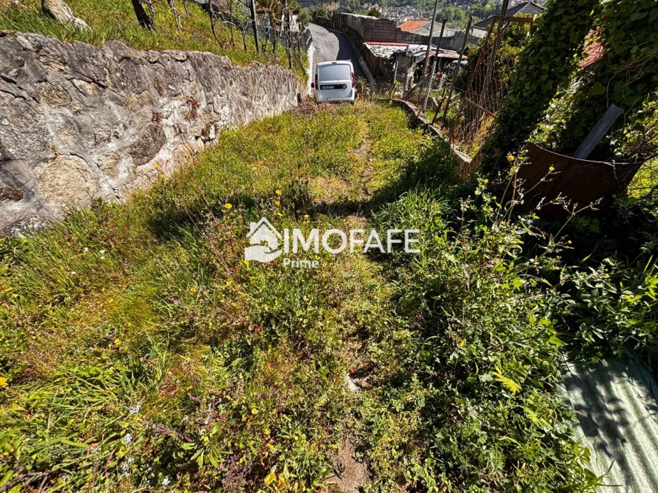 Terreno para Venda em Golães Foto 26