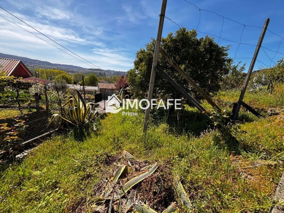 Terreno para Venda em Golães Foto 11