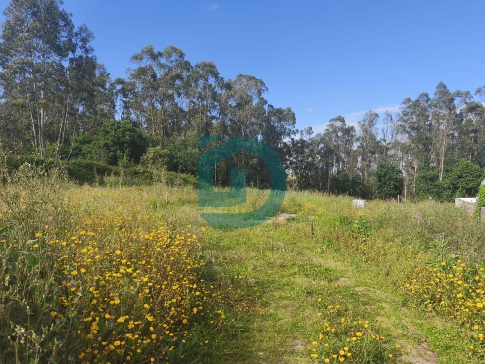 Terreno para Venda em Arvore Foto 1