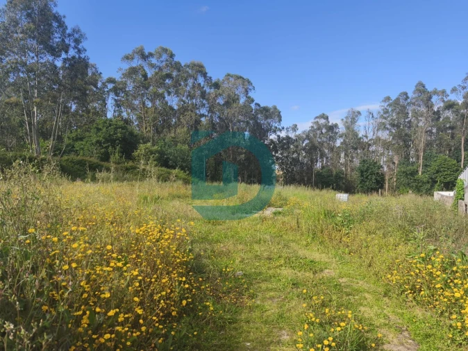 Terreno para Venda em Arvore Foto 2