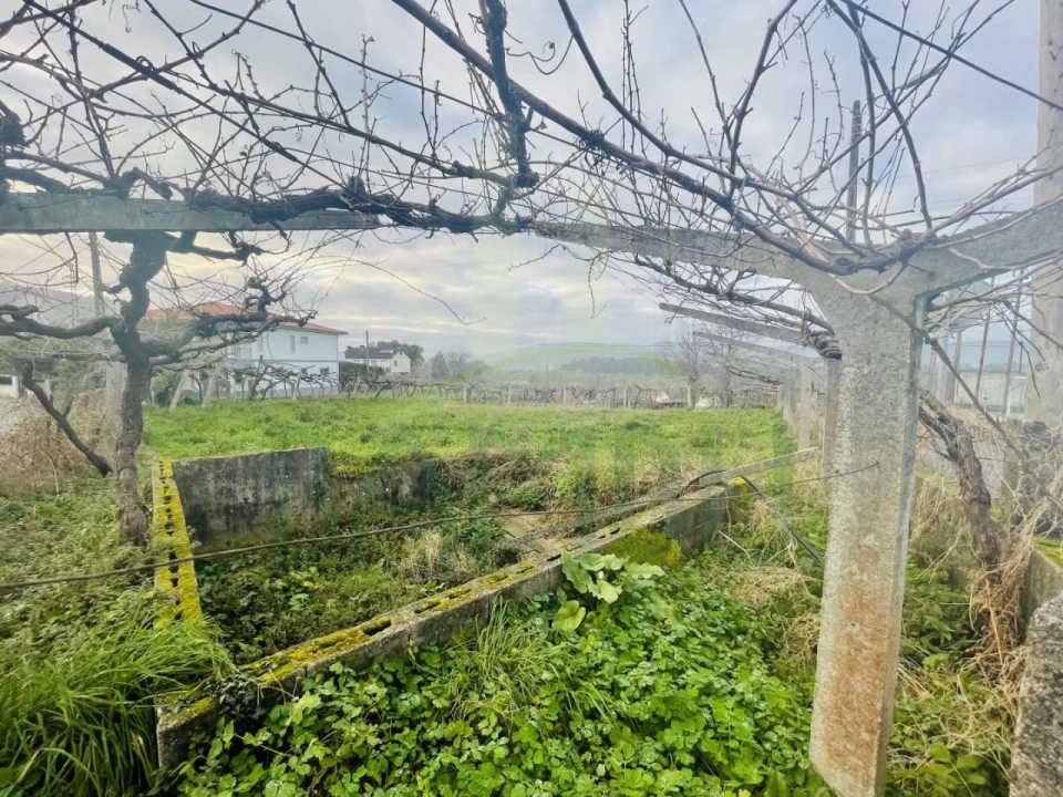 Terreno Agricola ou Rústico para Venda em Gondarem Foto 1