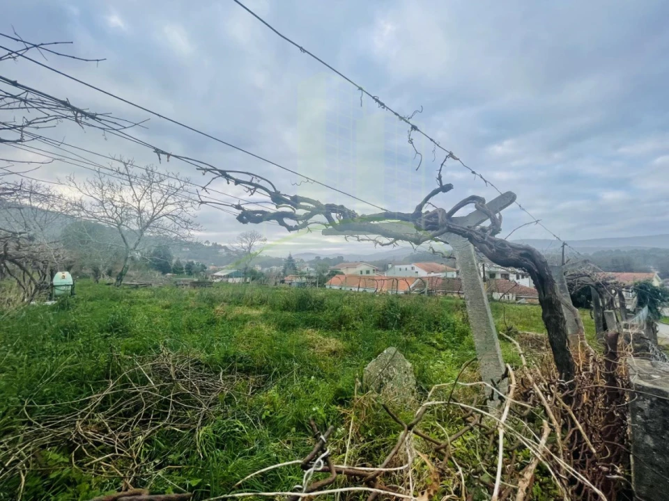Terreno Agricola ou Rústico para Venda em Gondarem Foto 6