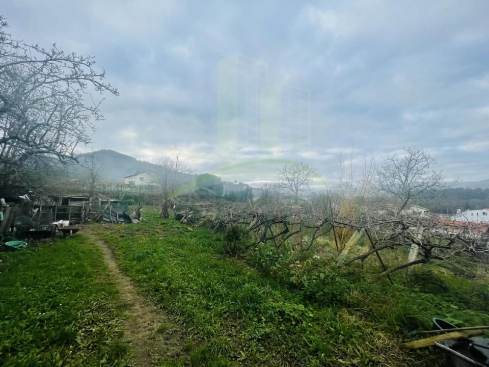 Terreno Agricola ou Rústico para Venda em Gondarem Foto 11