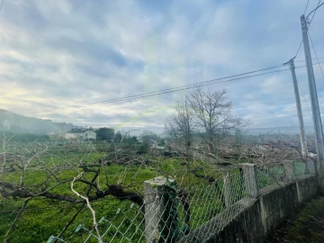Terreno Agricola ou Rústico para Venda em Gondarem