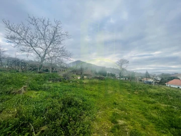 Terreno Agricola ou Rústico para Venda em Gondarem