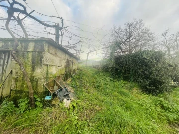 Terreno Agricola ou Rústico para Venda em Gondarem