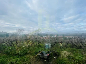 Terreno Agricola ou Rústico para Venda em Gondarem