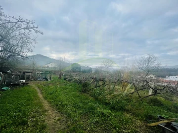 Terreno Agricola ou Rústico para Venda em Gondarem