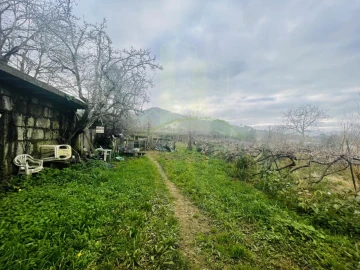 Terreno Agricola ou Rústico para Venda em Gondarem