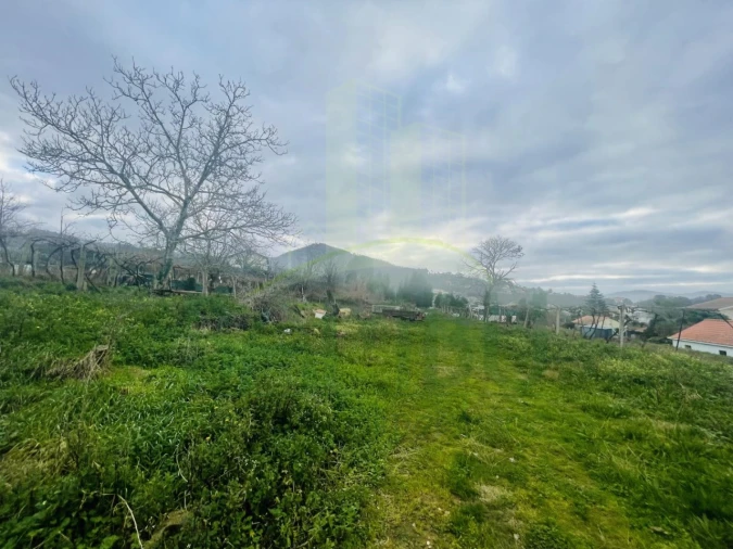Terreno Agricola ou Rústico para Venda em Gondarem Foto 4