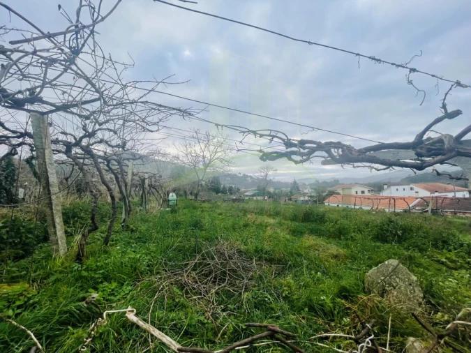Terreno Agricola ou Rústico para Venda em Gondarem Foto 7