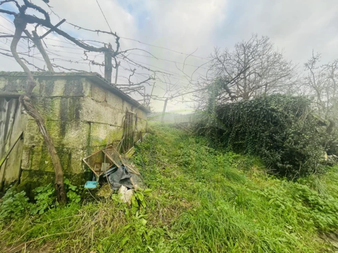 Terreno Agricola ou Rústico para Venda em Gondarem Foto 9