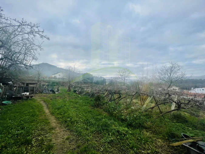 Terreno Agricola ou Rústico para Venda em Gondarem Foto 11