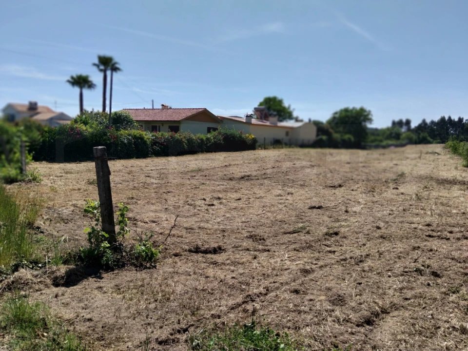 Terreno para Venda em Bustos, Troviscal e Mamarrosa Foto 12