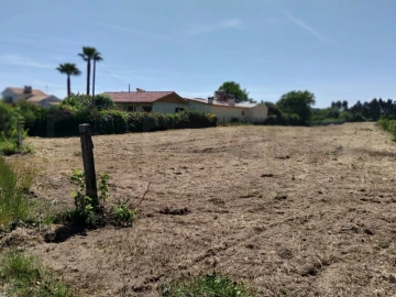 Terreno para Venda em Bustos, Troviscal e Mamarrosa