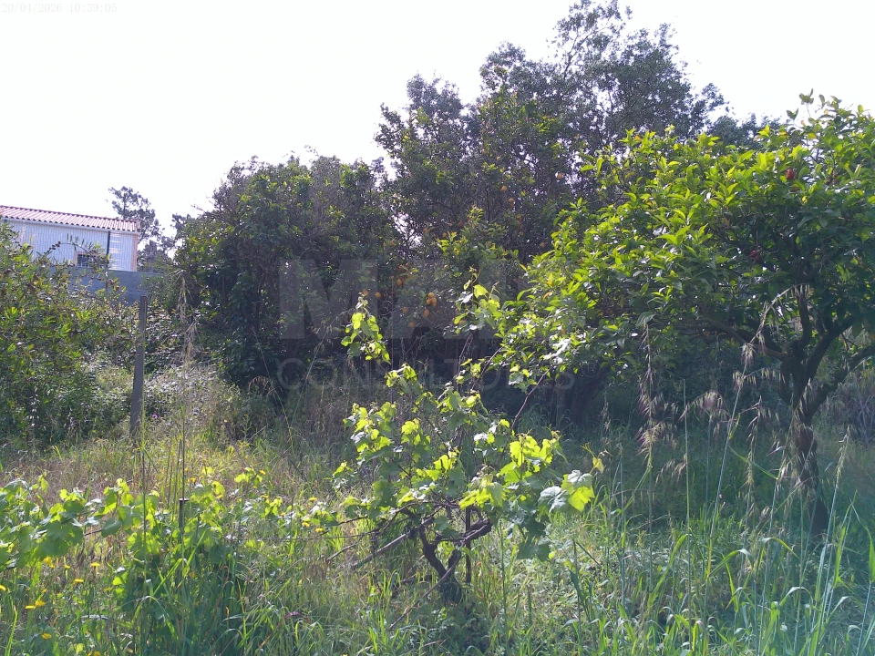 Terreno para Venda em Charneca de Caparica e Sobreda Foto 2