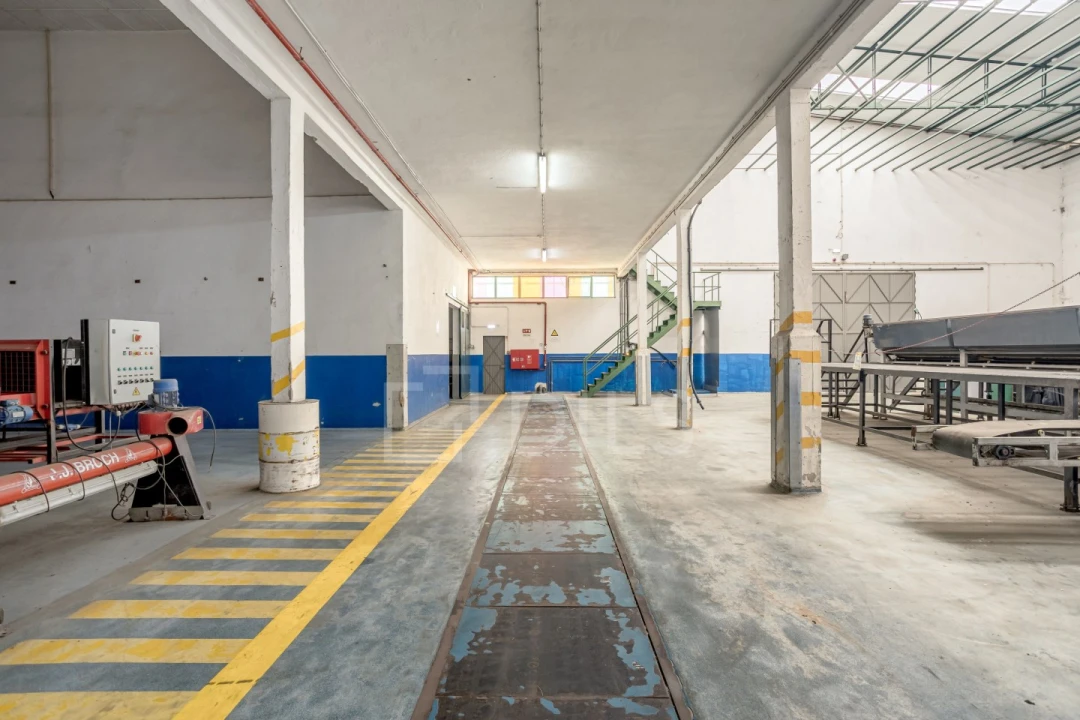 Armazém para Venda em Chamusca e Pinheiro Grande Foto 12