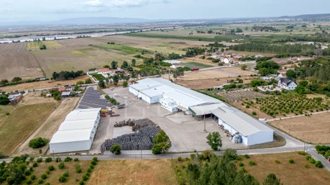 Armazém para Venda em Chamusca e Pinheiro Grande