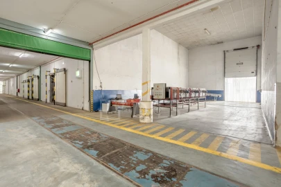 Armazém para Venda em Chamusca e Pinheiro Grande