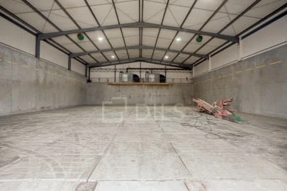 Armazém para Venda em Chamusca e Pinheiro Grande