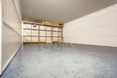 Armazém para Venda em Chamusca e Pinheiro Grande