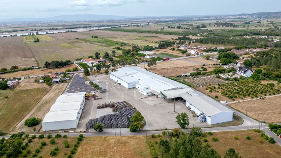Armazém para Venda em Chamusca e Pinheiro Grande Foto 2