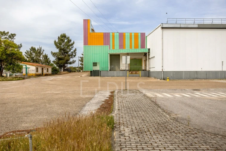 Armazém para Venda em Chamusca e Pinheiro Grande Foto 21