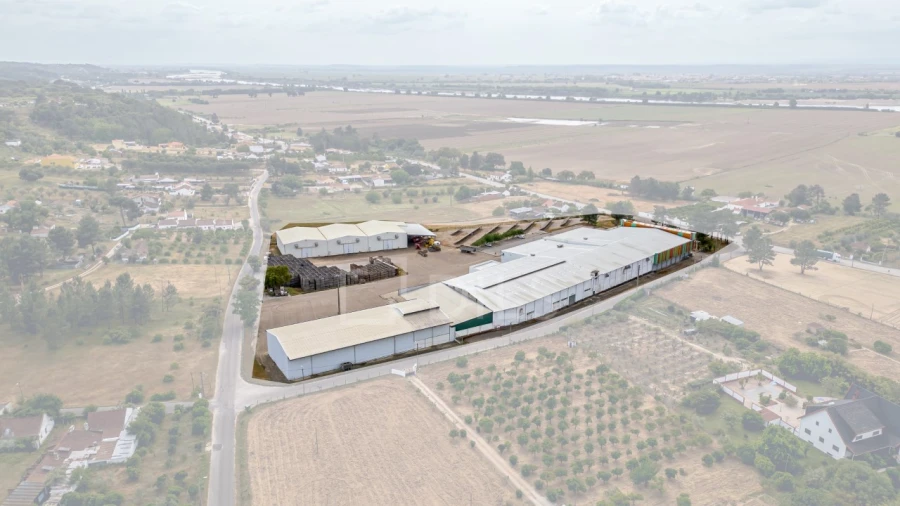 Armazém para Venda em Chamusca e Pinheiro Grande Foto 26