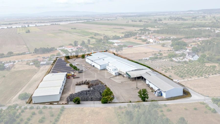 Armazém para Venda em Chamusca e Pinheiro Grande
