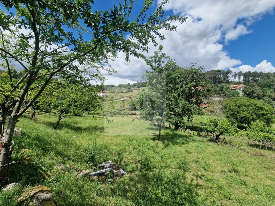 Terreno para Venda em Parada de Cunhos Foto 6