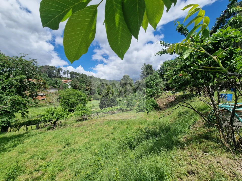 Terreno para Venda em Parada de Cunhos Foto 7