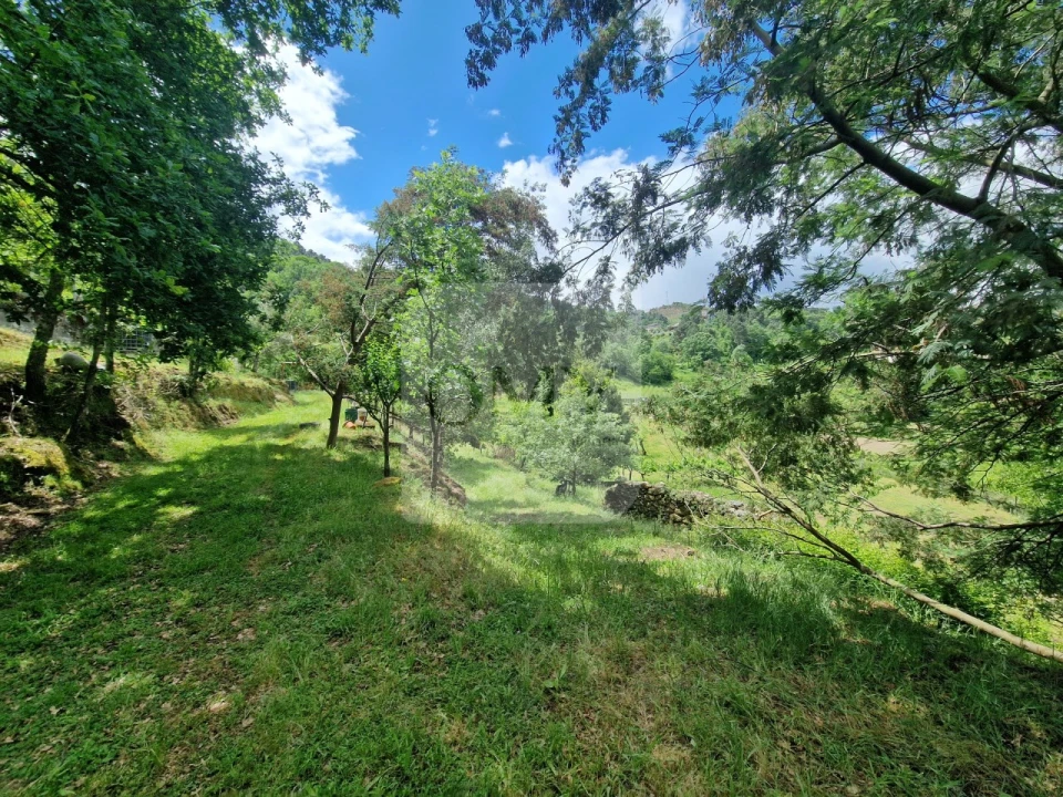 Terreno para Venda em Parada de Cunhos Foto 8