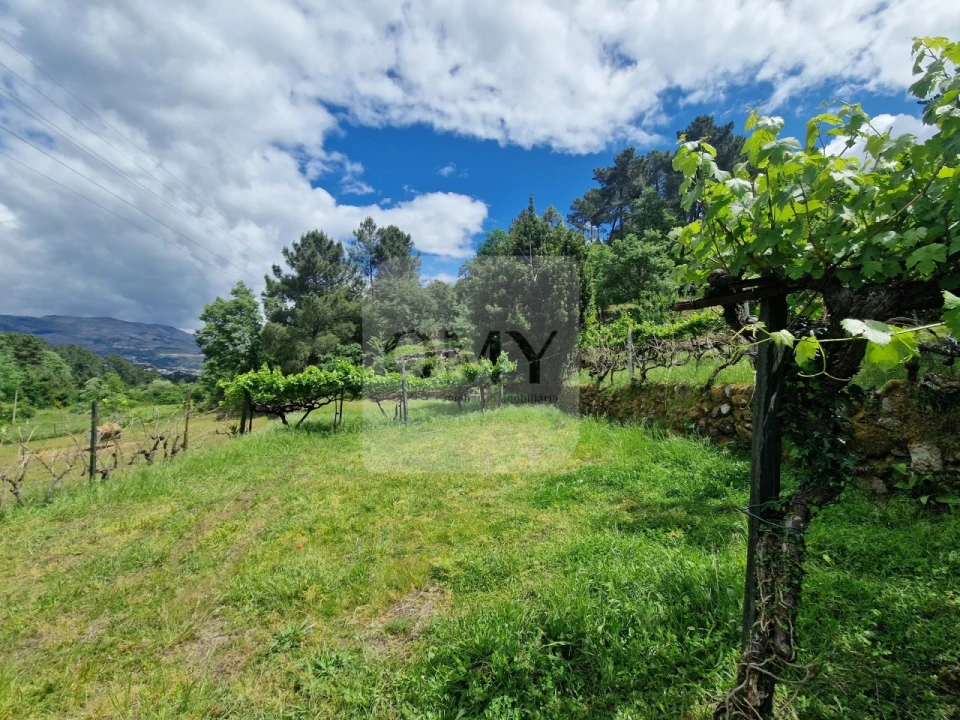 Terreno para Venda em Parada de Cunhos Foto 12