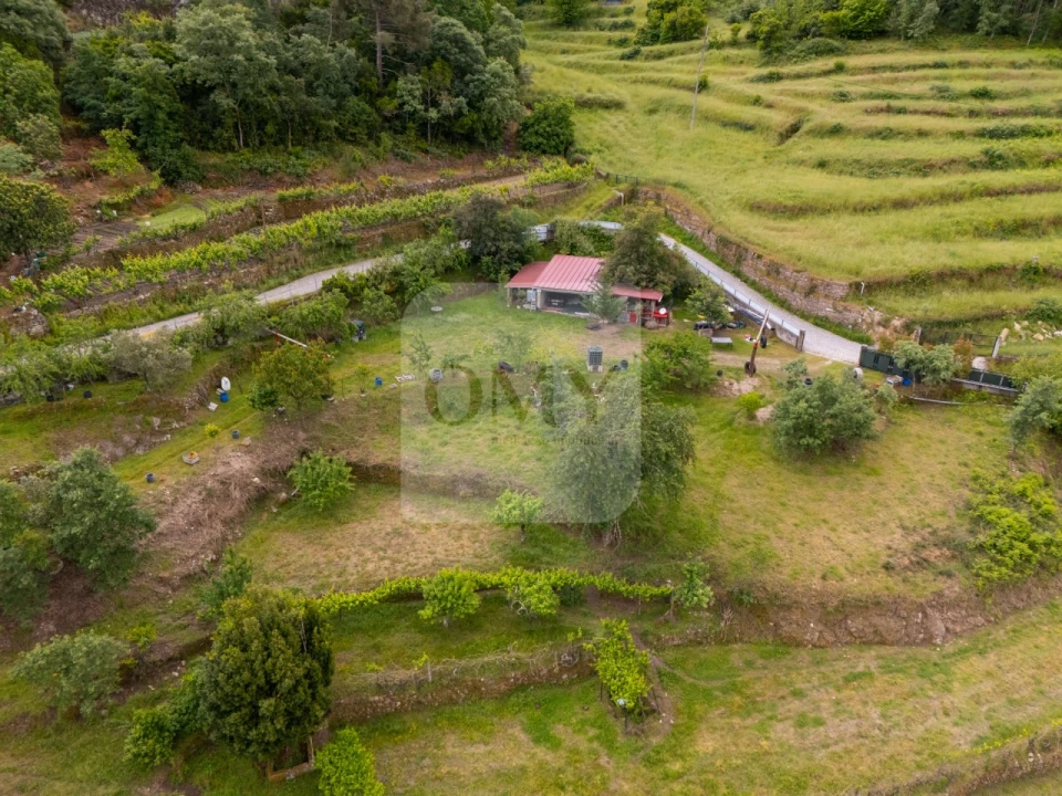 Terreno para Venda em Parada de Cunhos Foto 6